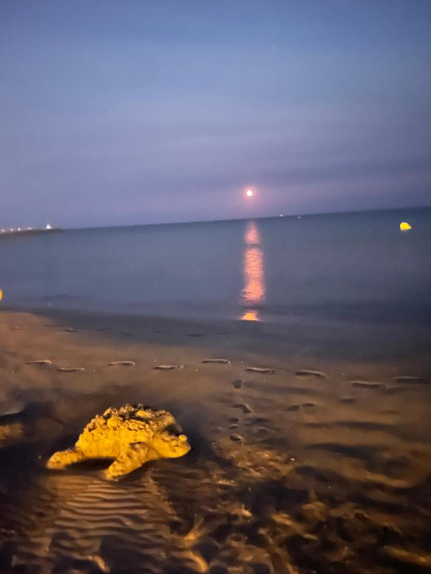 Vrasland Ter 70 M De La Plage 6 Couchages Narbonne-Plage Zewnętrze zdjęcie